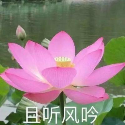 神州御剑诀游戏下载